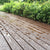 wet-washed-wooden-terrace-deck-with-greenery