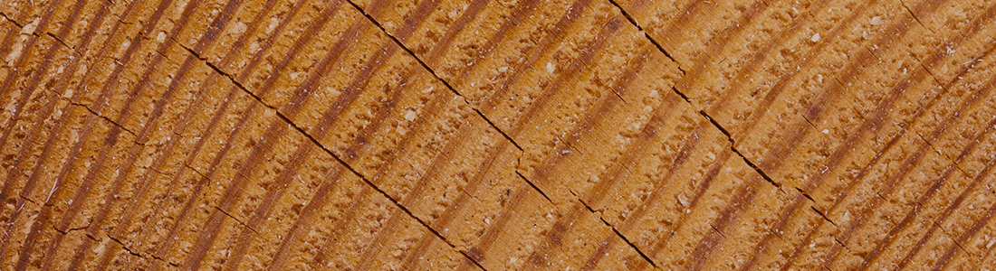 beautifully-cracked-wood-closeup